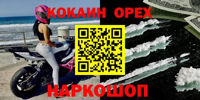 гашик Кингисепп