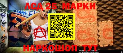 гашик Кингисепп