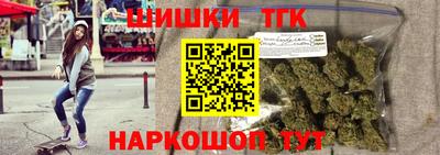 гашик Кингисепп
