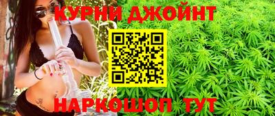 гашик Кингисепп