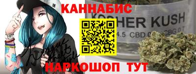 гашик Кингисепп