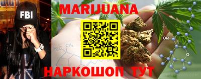 гашик Кингисепп