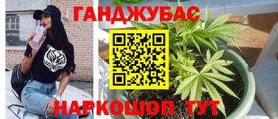 гашик Кингисепп