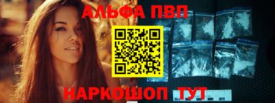 гашик Кингисепп