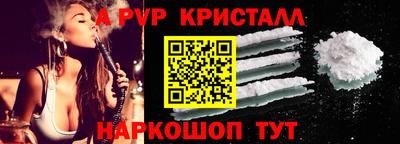 гашик Кингисепп