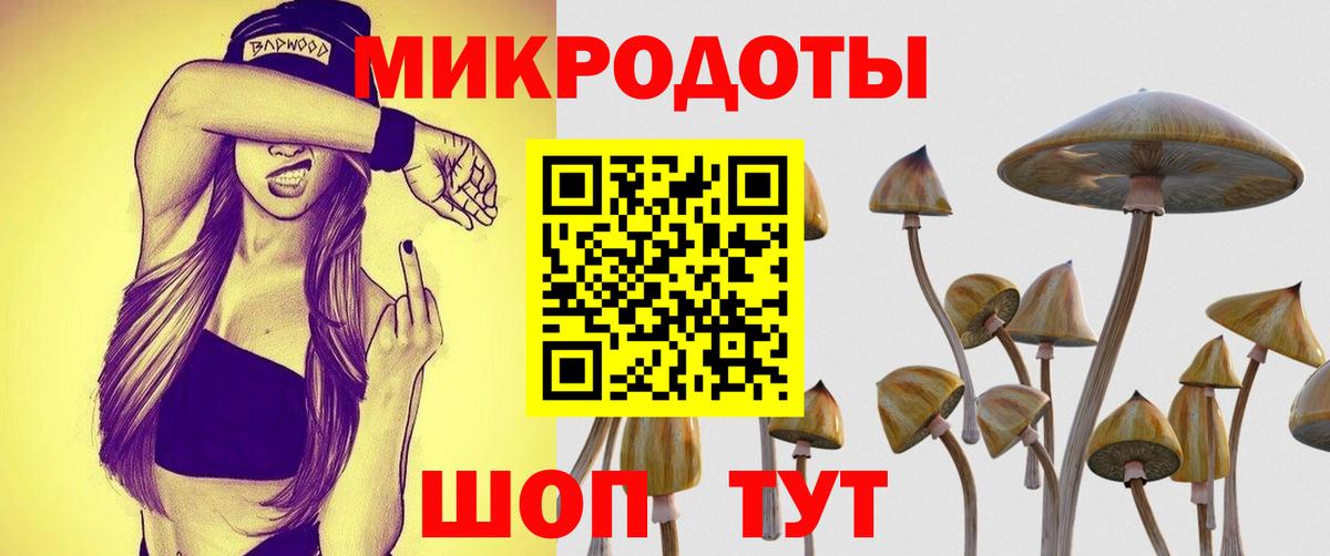 магазин продажи наркотиков  Псилоцибиновые грибы MAGIC MUSHROOMS  Вход с VPN  Ижевск 